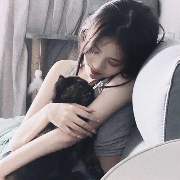 苏洛与三剑客 海报