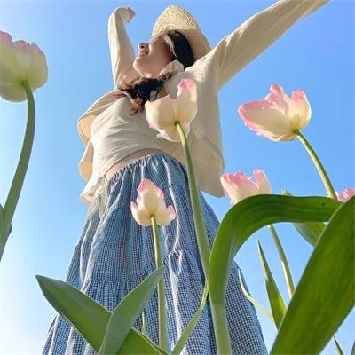 肥瑞的疯狂日记第一季 海报