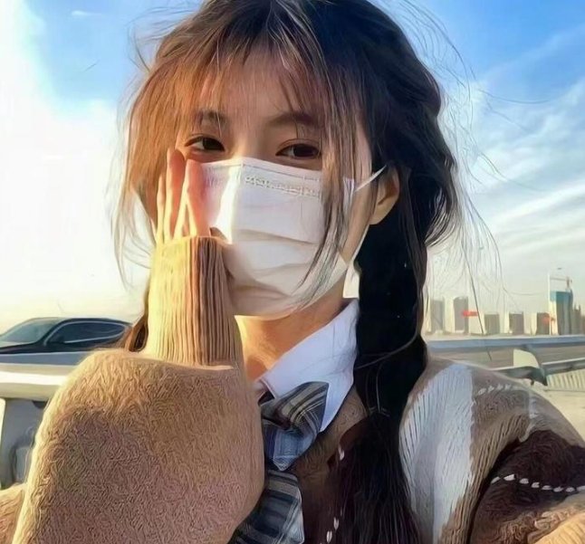受薪姑爷 海报
